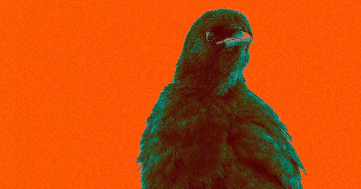 Neuroscientists found that crows have conscious and subjective experiences, challenging assumptions about animal intelligence and human superiority.ogical constraints