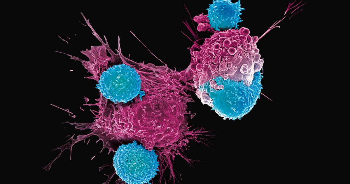 Doctors engineered a virus that can infect treatment-resistant tumors and make them more vulnerable to existing therapies.