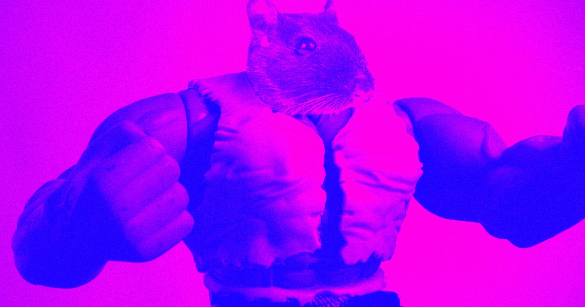 A bunch of mice got absolutely ripped before heading to space thanks to cutting edge gene-editing science. According to a new paper, they stayed ripped.