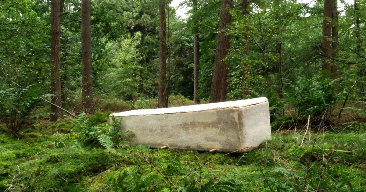 Designers from Delft University of Technology in the Netherlands have created the "Living Cocoon," a moss-filled, "living" coffin made out of fungus.