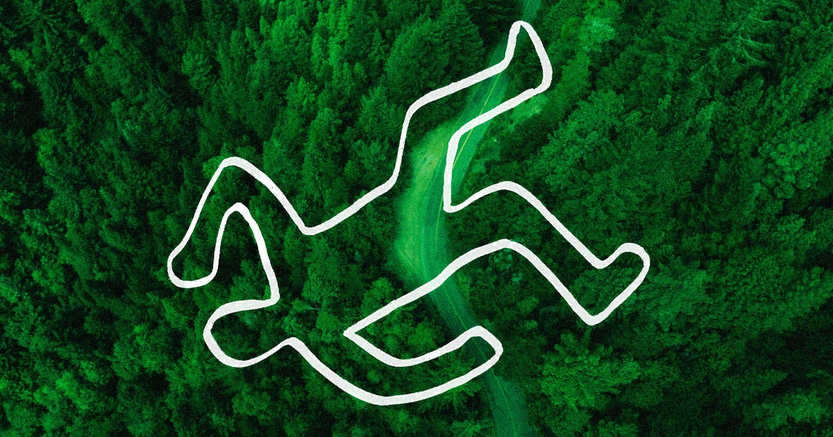 According to a new paper, changes in the composition of tree and shrub canopies could guide search and rescue teams to find human remains.