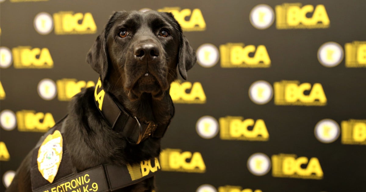 Police reportedly trained a dog to sniff out electronic storage devices, which cops claim helps them find hidden digital evidence.