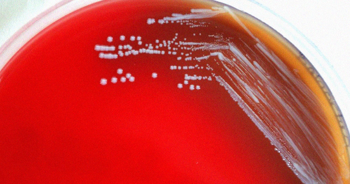 Thousands of people in northwest China have caught a bacterial disease after a leak caused an outbreak at a biopharmaceutical last year, CNN reports.