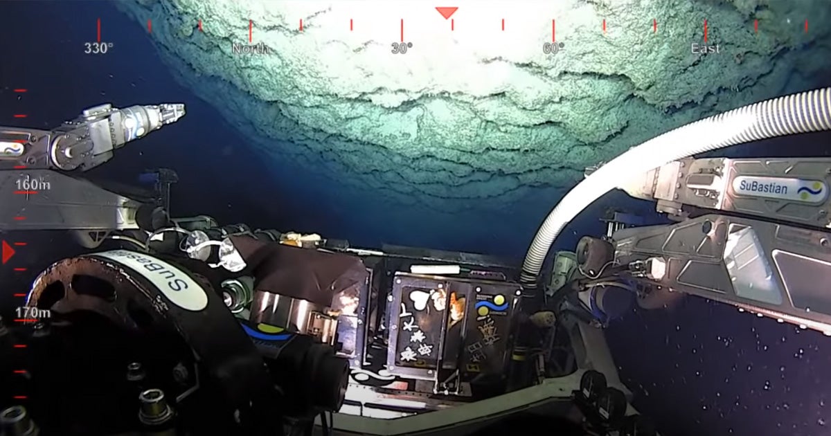 Scientists discovered a massive new coral reef lurking near Australia's Great Barrier Reef for the first time in over 120 years.