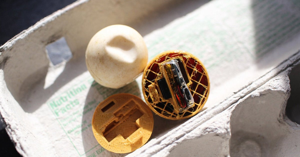 Scientists 3D printed fake sea turtle eggs and stuffed them with GPS transmitters to track and stop poachers from selling the endangered species.