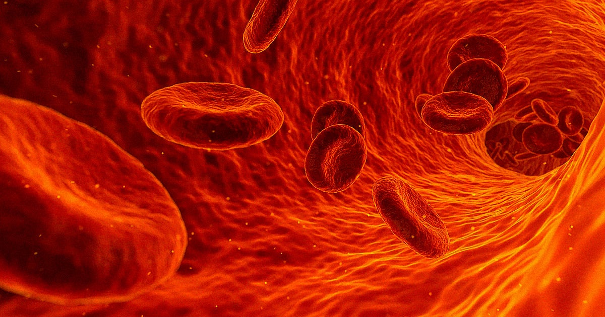 Research shows that the human species is rapidly evolving: The percent of people with a medial artery in their forearms has grown over the last 150 years.