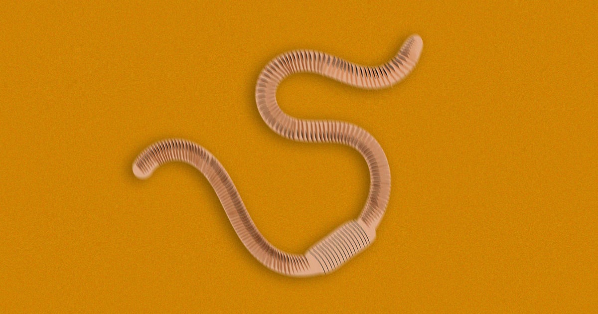 A scientist who won an Ig Nobel for his work on vibrating earthworms with a speaker say their research may be the key to brain-computer interface.