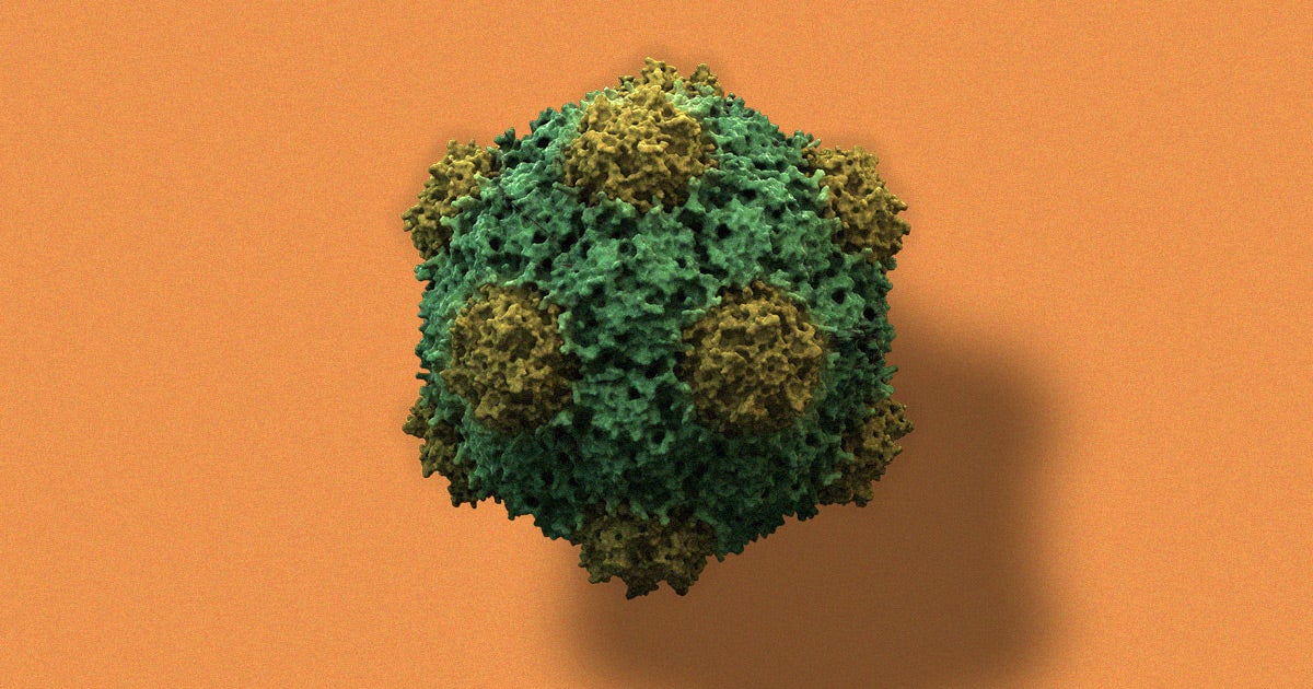 Scientists are using viruses harvested from common plants to create cancer immunotherapies — and they've already proven to be effective in animal models.