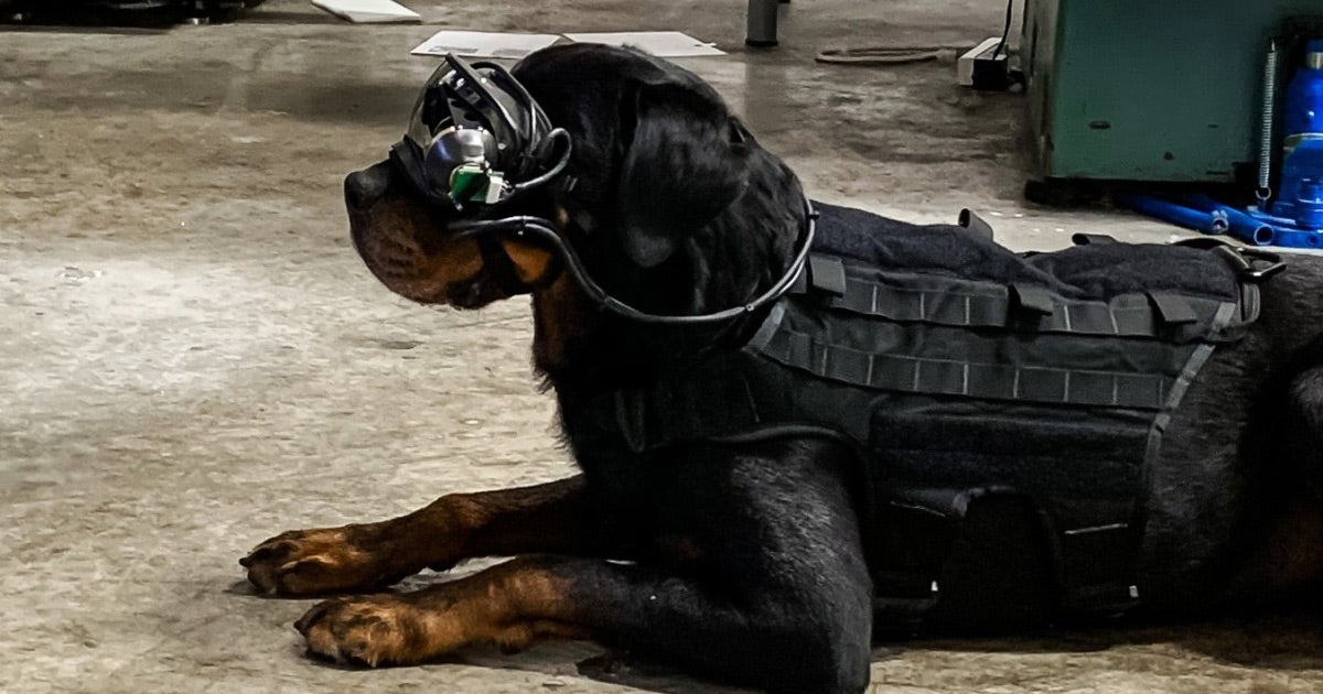 The US Army is developing augmented reality goggles for dogs to help protect their human guardians by allowing them to command the dog from a distance.