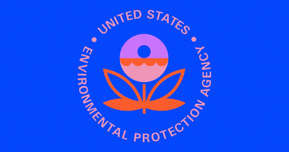 President-elect Joe Biden reportedly plans to nominate Michael Regan as head of the Environmental Protection Agency. It would be his third time at the EPA.