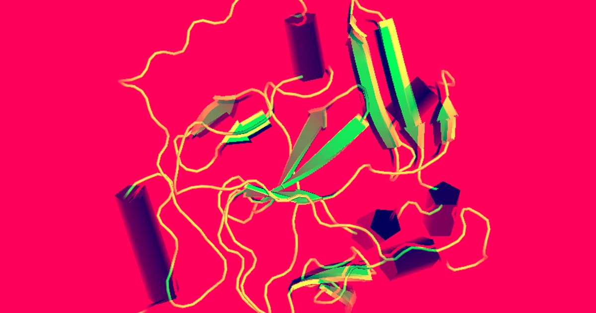 Google's DeepMind AI team built an algorithm called AlphaFold 2 that can solved the protein folding problem with better accuracy than any other team.