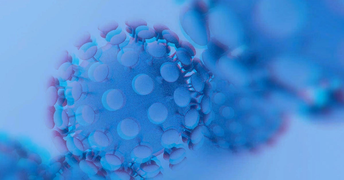 A new strain of the coronavirus is spreading in the UK. To stop it from reaching the mainland, a number of countries have cut themselves off.