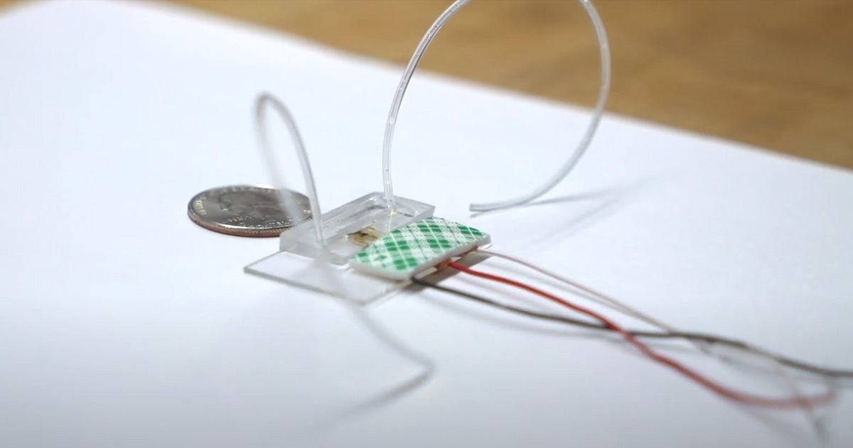 A new nanomaterial biosensor can spot coronavirus antibodies — and track whether the vaccine is working — in ten seconds.
