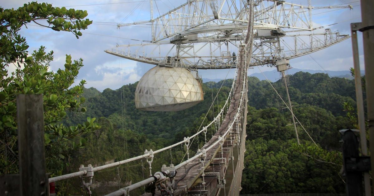 Scientists working at the Arecibo Observatory, right until it collapsed earlier this month, are calling for the massive radio telescope to be rebuilt.