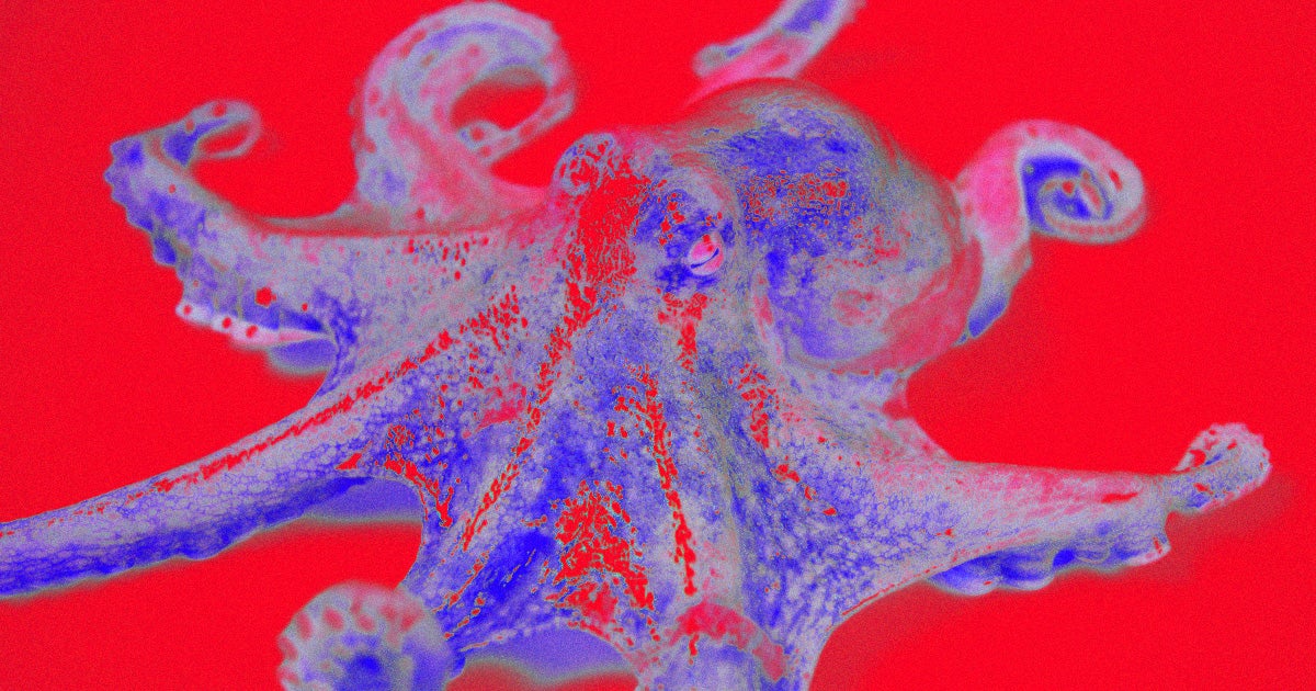 Scientists caught octopuses occasionally punching nearby fish on film. Sometimes its to keep them in line during a hunt, other times it just seems spiteful.