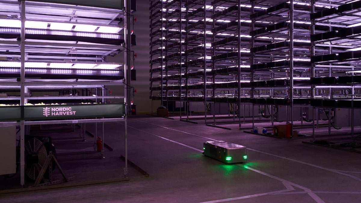 A new vertical farm opening on the outskirts of Copenhagen, Denmark, is set to start producing 1,000 metric tons of greens a year.