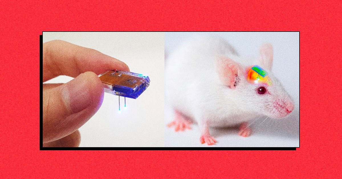 Scientists developed a neural implant they can both control and recharge remotely, cutting down on the need for battery-changing surgeries.