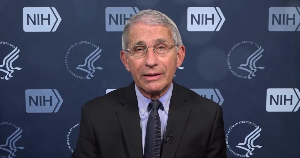 Top infectious disease expert Anthony Fauci told CNN that Trump's bungled response to the COVID-19 pandemic "very likely" cost American lives.