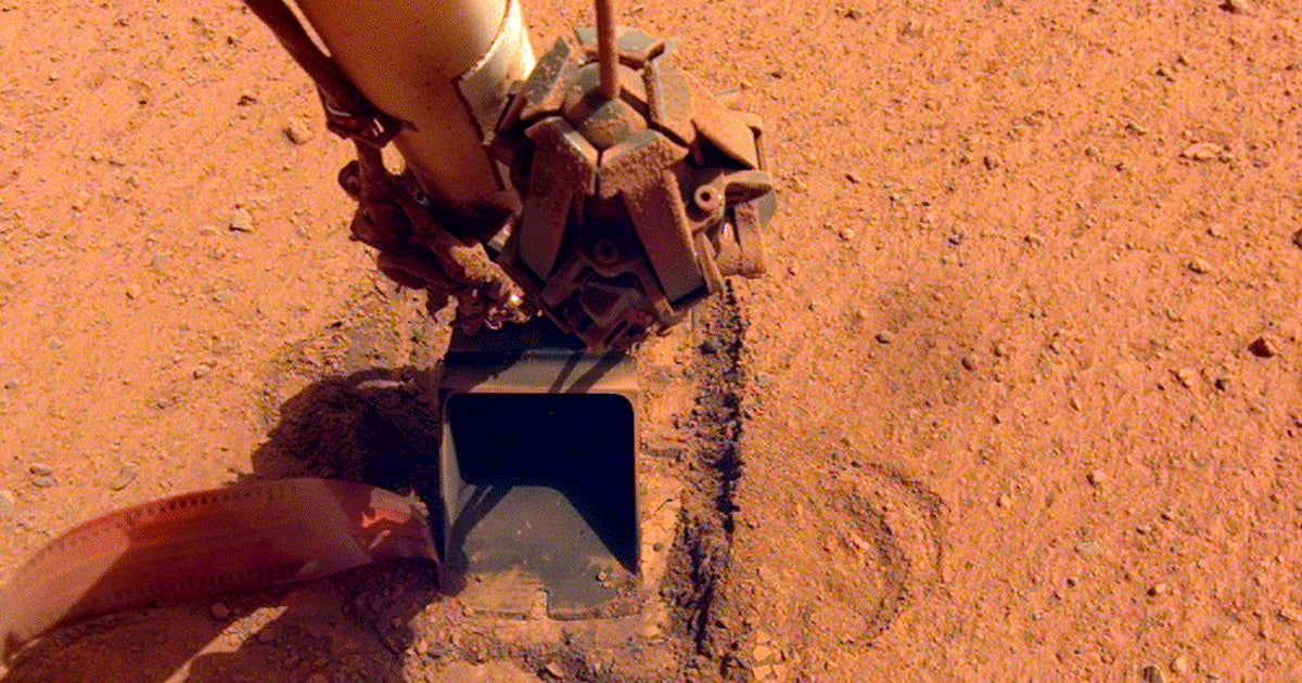 The "mole" attached to NASA's InSight Mars lander, which has been attempting to dig itself into the rocky surface, is giving up, according to NASA.