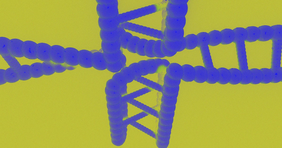 A team of Chinese scientists have developed a gene therapy that was shown to reverse some aspects of aging and extend lifespans in mice.