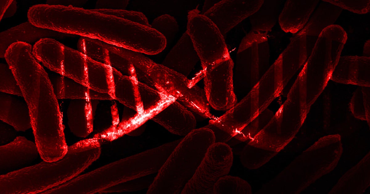 Scientists have managed to program data into the DNA of living bacteria for the first time, allowing the data to be passed on to the next generation.