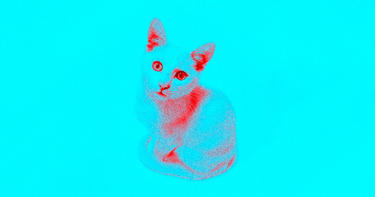 New research suggests that Toxoplasma gondii, the brain parasite infamously spread by pet cats, is linked to a greater risk of brain cancer.