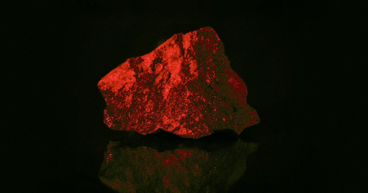 A team of scientists ground up ancient Mars rocks to see if microbes could survive on it. They did, and its biosignatures could help the Perseverance team.