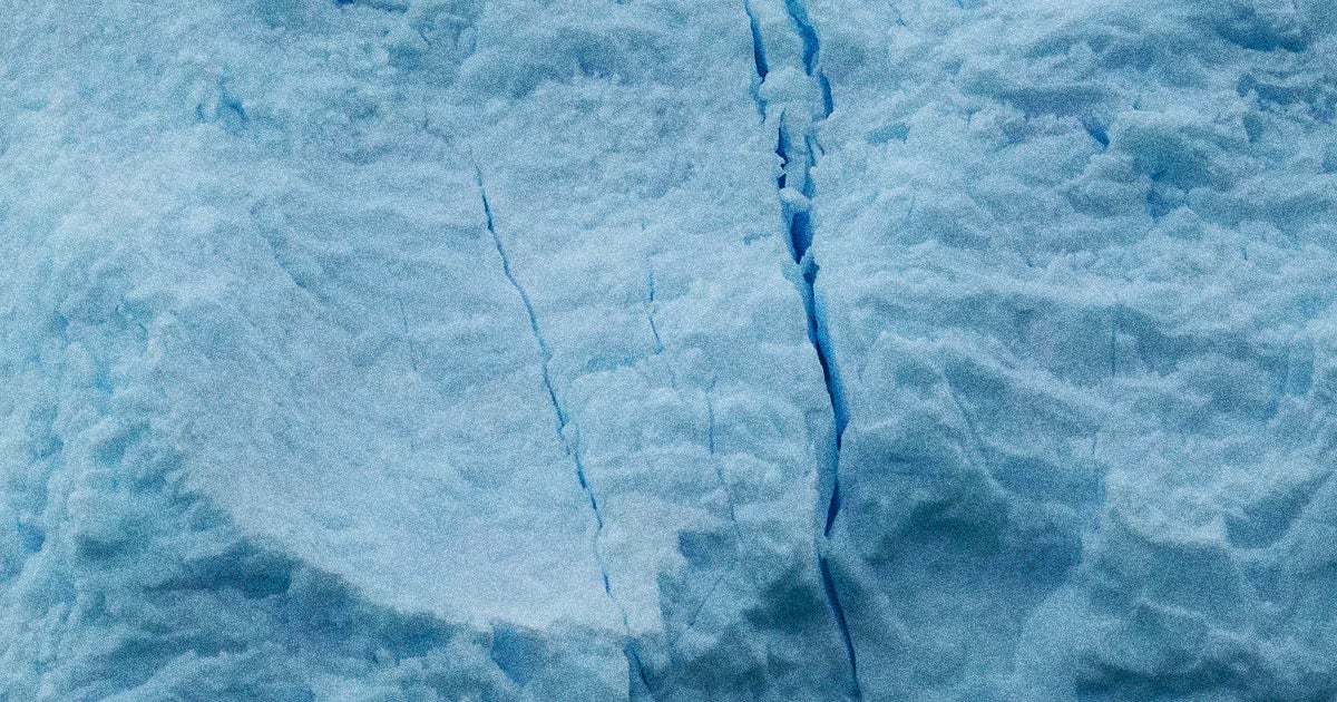 Scientists accidentally discovered a bizarre ecosystem of creatures on the seafloor under Antarctica, hundreds of miles from any apparent source of food.