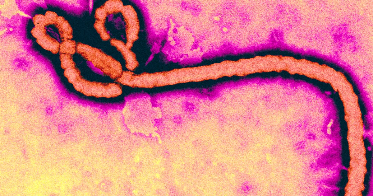 The Democratic Republic of Congo is now staring down its 12th Ebola outbreak just three months after the previous one ended.