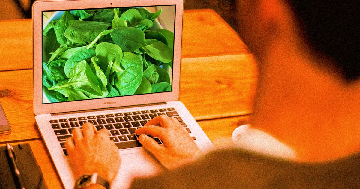 MIT scientists engineered spinach plants with carbon nanotubes that can send alerts when they spot pollution, explosives, or signs of climate change.