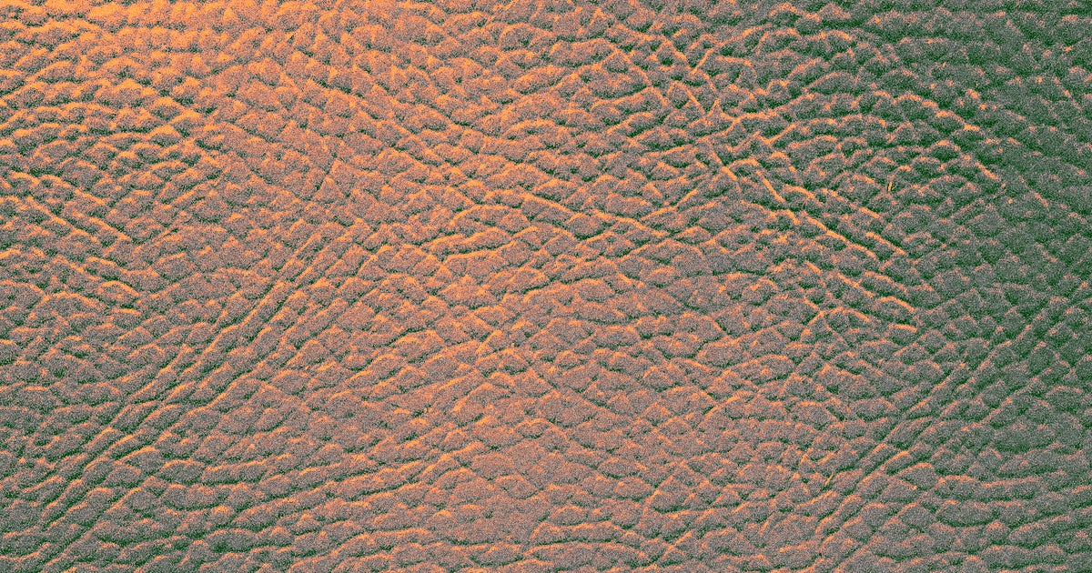 Scientists developed a small skin patch covered in microneedles that could replace medical tests that require drawing blood.