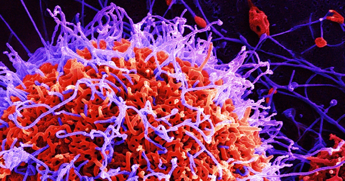 In a Tuesday statement, the White House warned that new Ebola outbreaks in Africa need our attention now — otherwise we'd risk "catastrophic consequences."