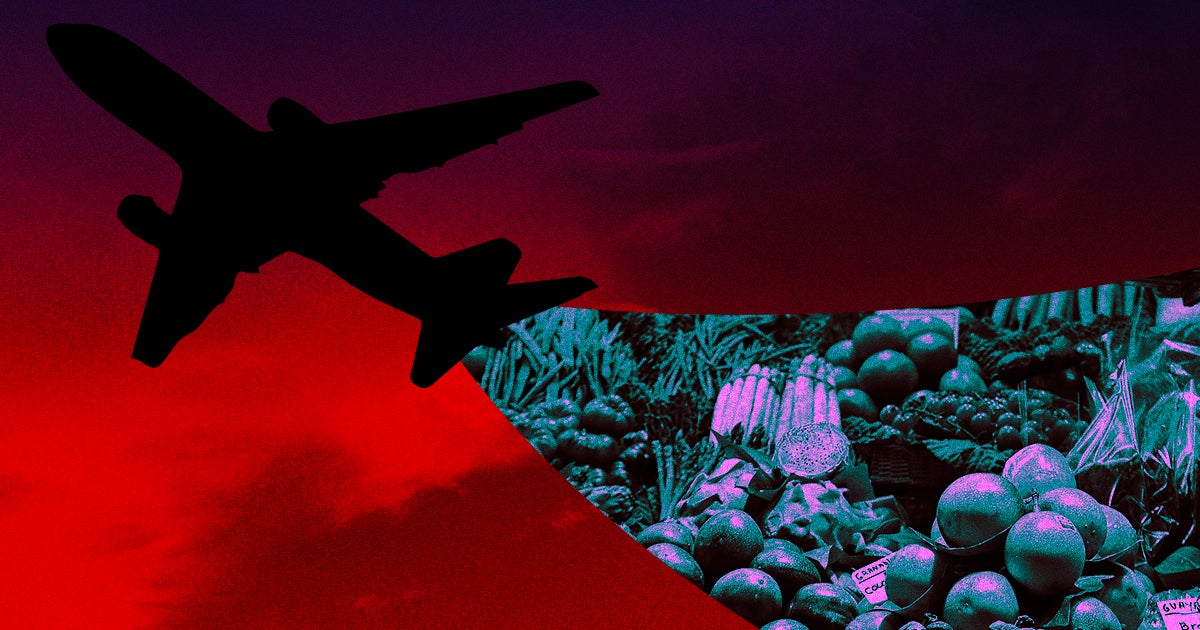 Scientists found a way to turn food scraps into viable jet fuel that burns cleaner than traditional petroleum fuels and works with the planes we have today.