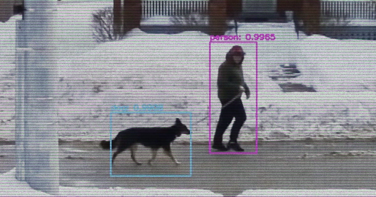 A YouTuber created an AI-powered computer that uses machine learning to shout compliments at dogs as they pass through his neighborhood.