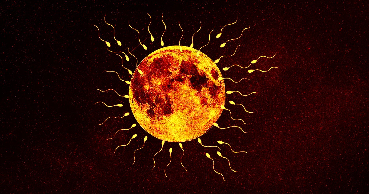 In order to protect Earth's biodiversity from global crises, a team of engineers suggests building a massive sperm bank and seed vault on the Moon.