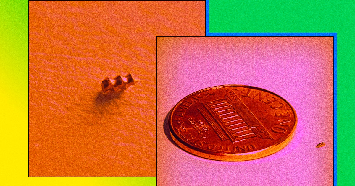 A startup wants to deliver cancer drugs directly to brain tumors via tiny, injectible devices that look like little drills.
