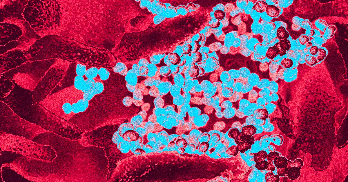 There are several major coronavirus variants spreading throughout the world. Here's what you should know about the most important ones.