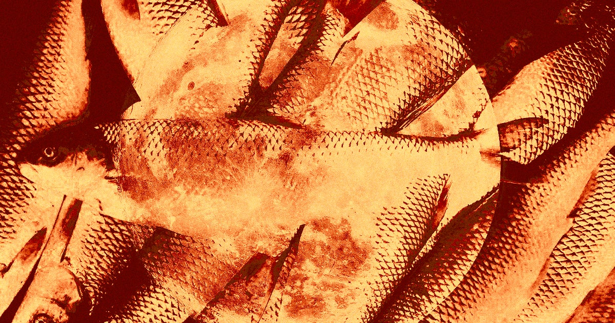 Scientists suggest putting a fish farm on the Moon after discovering that seabass and meagre eggs could survive the rough journey.