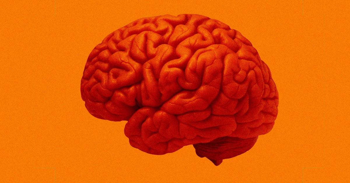 German scientists have tested a special vaccine targeted at helping the body fight brain cancers for the first time in humans.