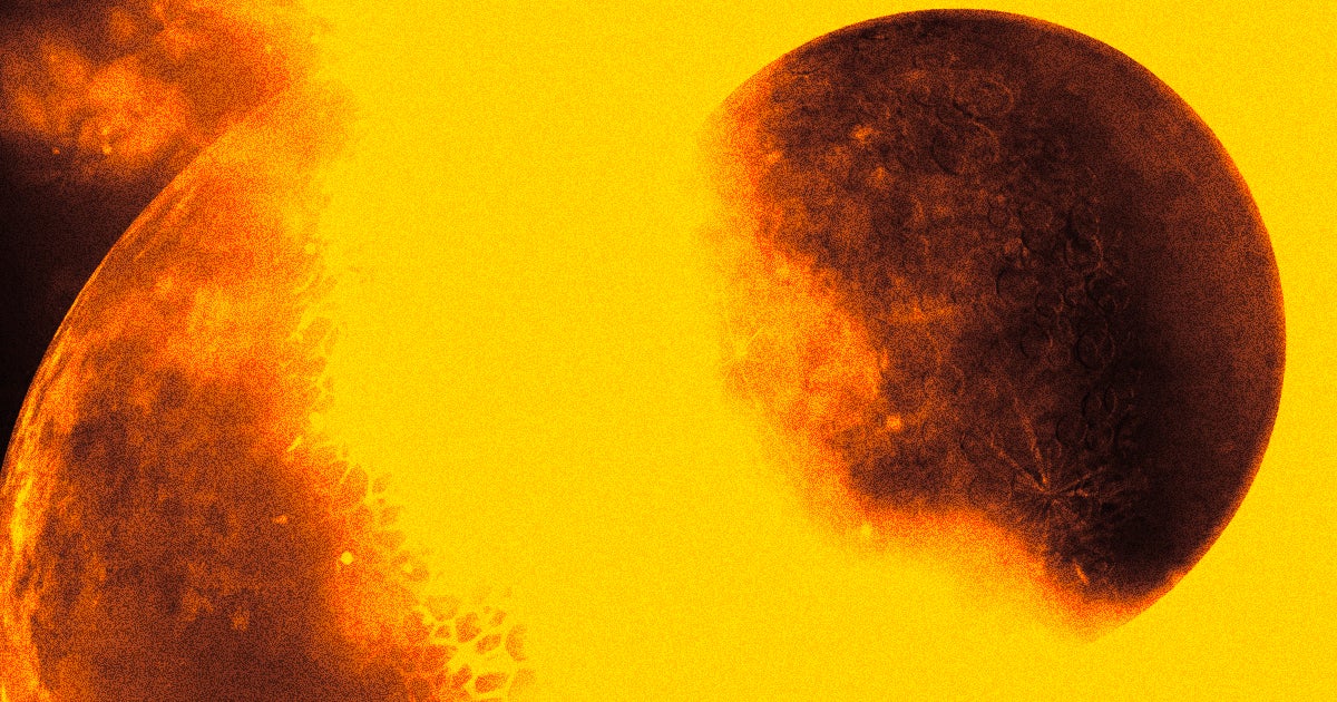 The gigantic blobs buried within the Earth's mantle, thought to be fragments of the ancient protoplanet Theia, are unfathomably huge.