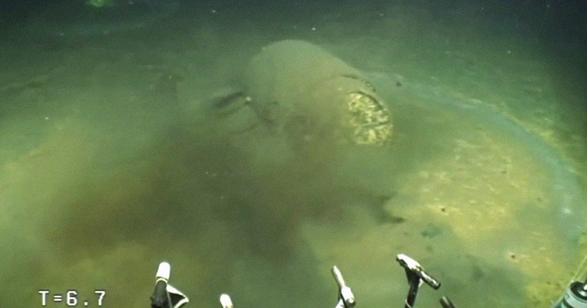Marine scientist David Valentine has made a shocking discovery 3,000 below the ocean's surface just ten miles off the coast of Los Angeles: barrels of DDT.