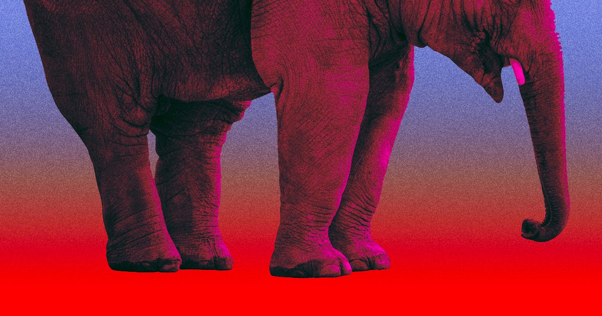 Three rhino poachers had a run-in with wild elephants in South Africa's Kruger National Park. One of them ended up being trampled to death.