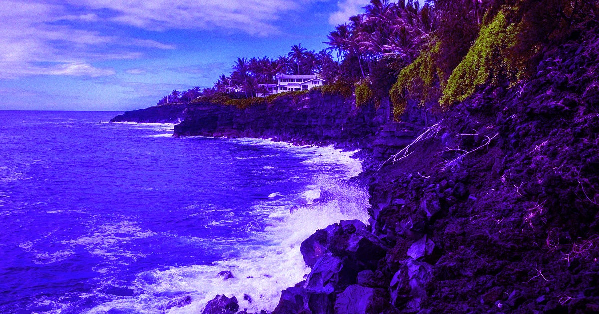 Hawaii has become the first US state in history to declare a climate emergency, The Hill reports.