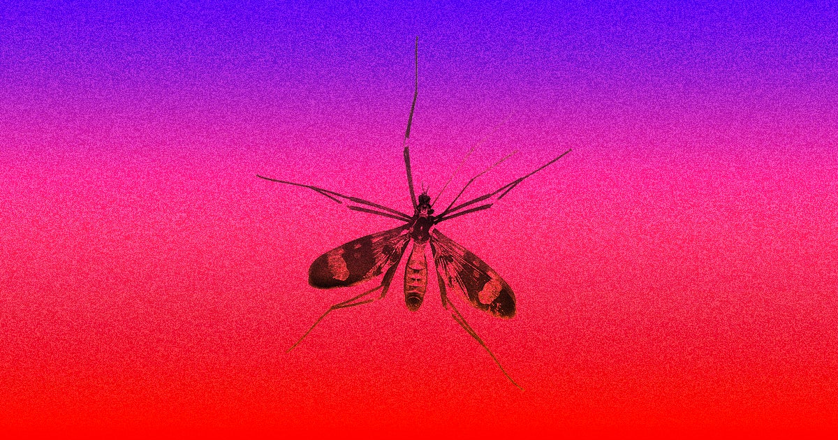 Scientists have developed a highly effective vaccine for malaria that offers far better protection than any past attempts.