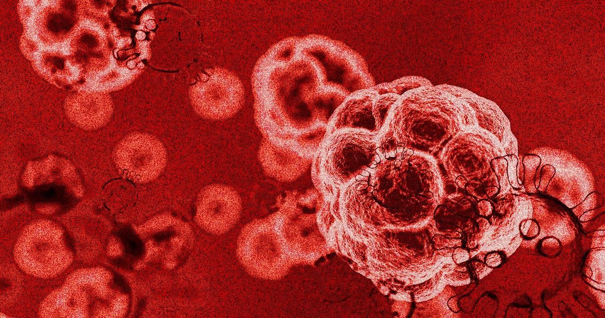 A team of researchers says it discovered entirely new coronaviruses in genetic data released by agricultural labs in China.