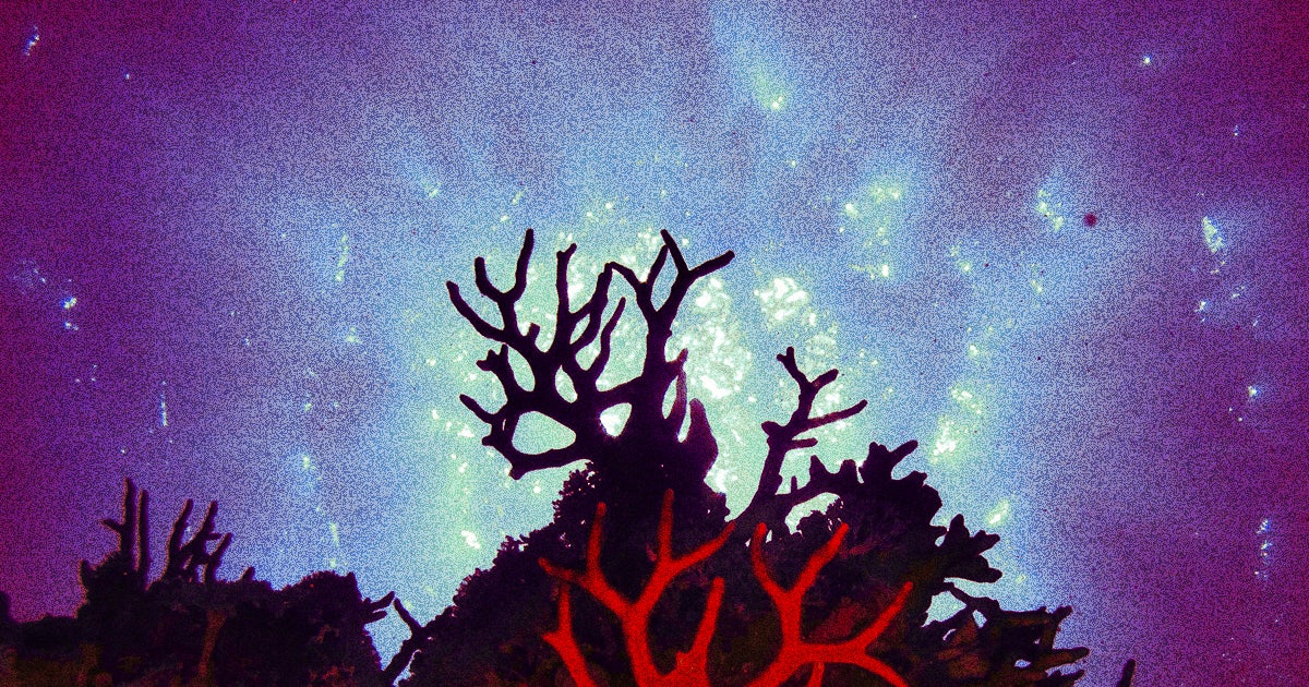 Oceanic life is fleeing the increasingly-hot equator for more hospitable water, and a mass extinction event is likely to follow.