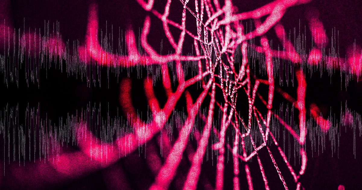 MIT scientists converted the structure and construction of spider webs into odd music which they hope could lead to a form of human-spider communications.