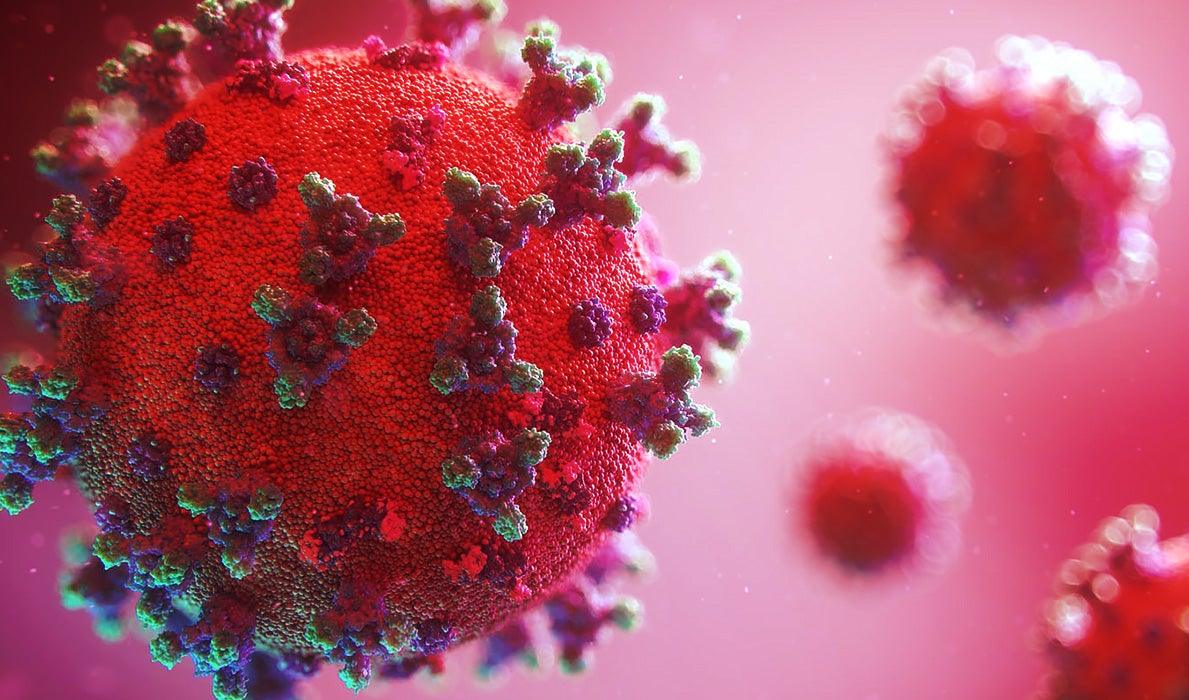 Biden called on the US intelligence community to redouble its efforts to find out how the coronavirus pandemic actually started.