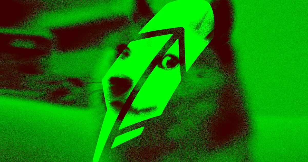 As Dogecoin's price spiked, a huge influx of people trying to get in on the action overwhelmed and took down the trading app Robinhood