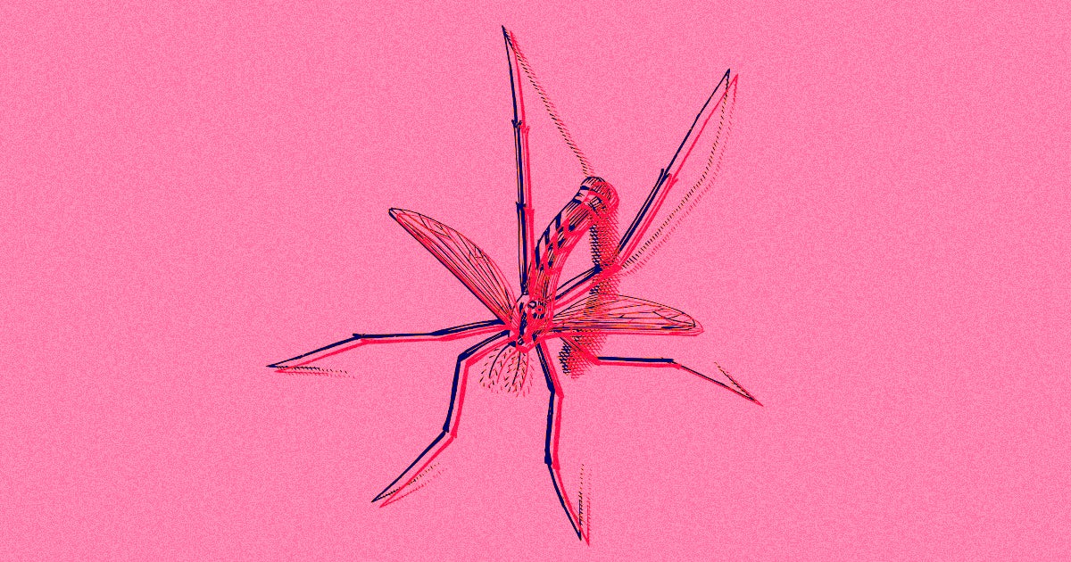 The biotech company Oxitec has now released its genetically engineered mosquitoes in the Florida Keys, where it hopes they'll reduce local bug populations.
